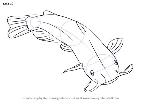 Catfish drawing easy way 